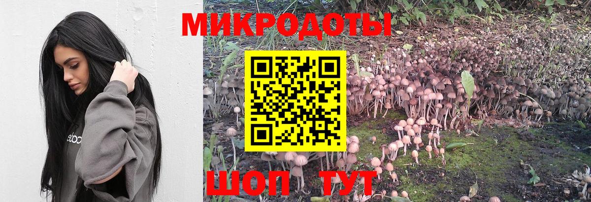 Псилоцибиновые грибы мухоморы  Галлюциногенные грибы Psilocybine cubensis  Южноуральск  Вход с VPN 