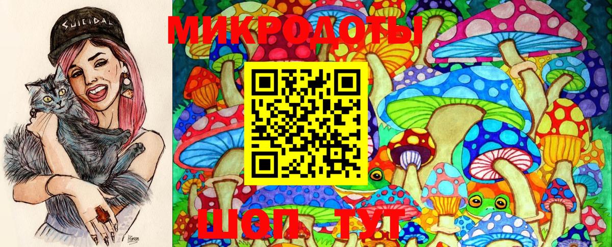 Галлюциногенные грибы Psilocybine cubensis Южноуральск